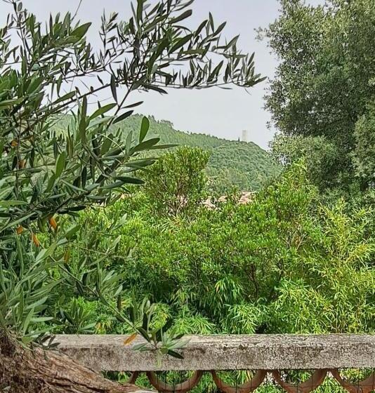 Bed and Breakfast Chambre De L Olivier