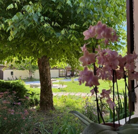 Bed and Breakfast Chateau Eck