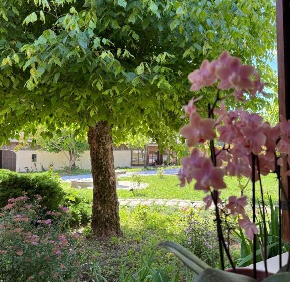 Bed and Breakfast Chateau Eck