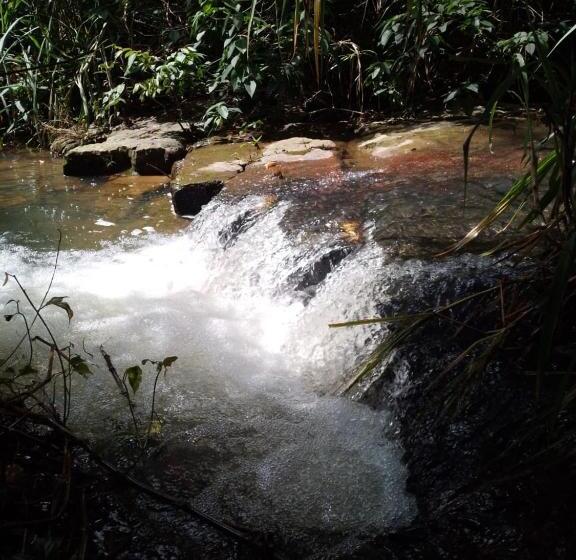 Bed and Breakfast Finca Turística Marquesa Wellness   Hospedaje, Desayuno Y Day Spa