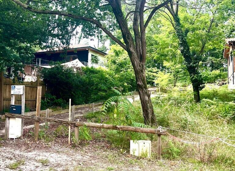 住宿加早餐  Guest House Folk Inn