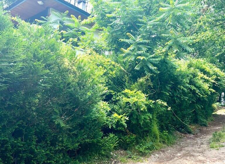 مبيت وإفطار Guest House Folk Inn