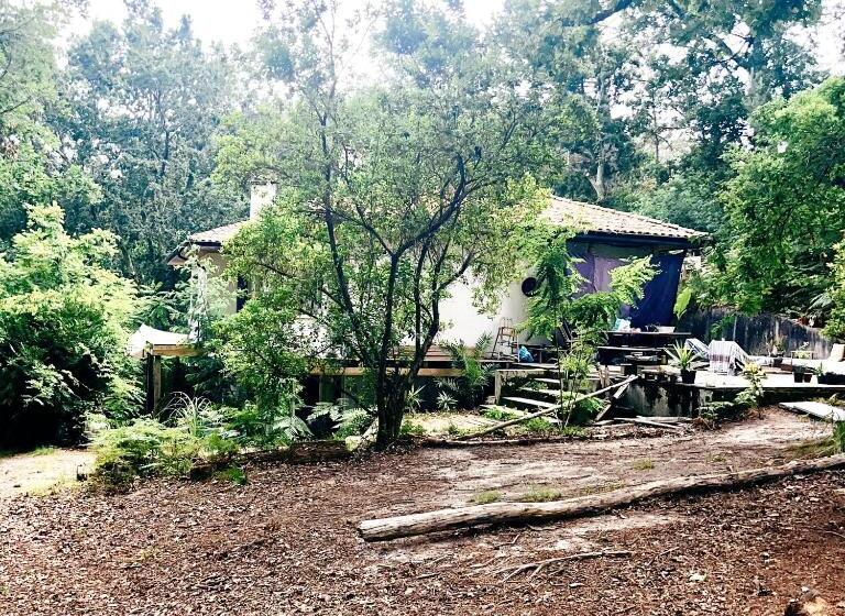 مبيت وإفطار Guest House Folk Inn