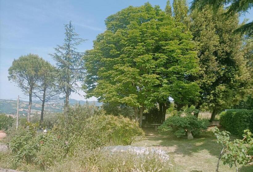 צימר Le Api Di Pe