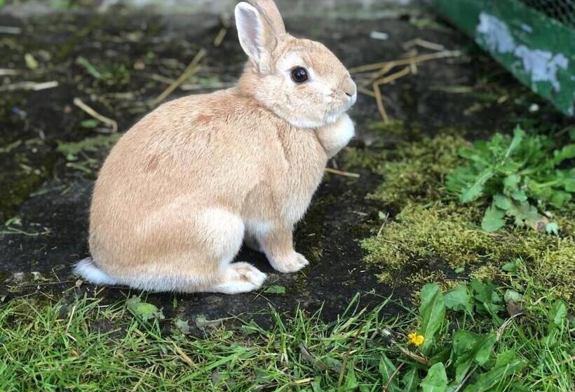 مبيت وإفطار Le Clos Des Songes