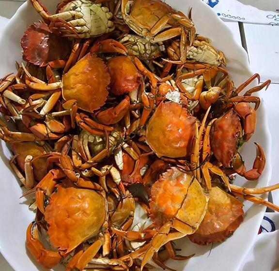 בית מלון כפרי акра ф