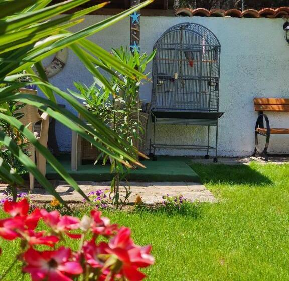 בית מלון כפרי акра ф