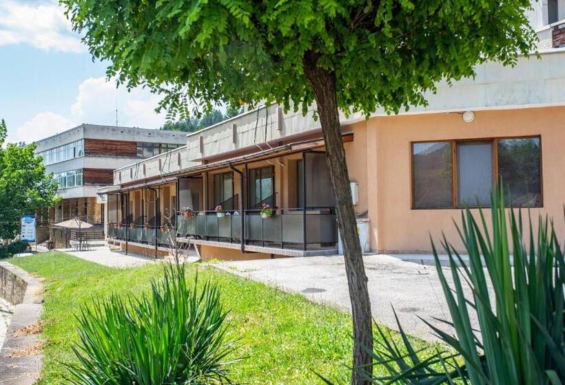 فندق комплекс плавис