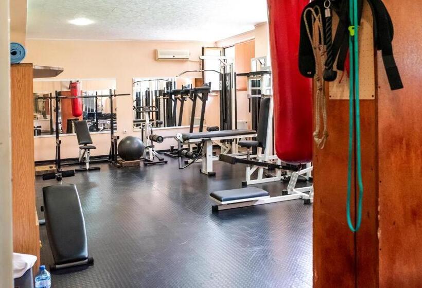 فندق комплекс плавис