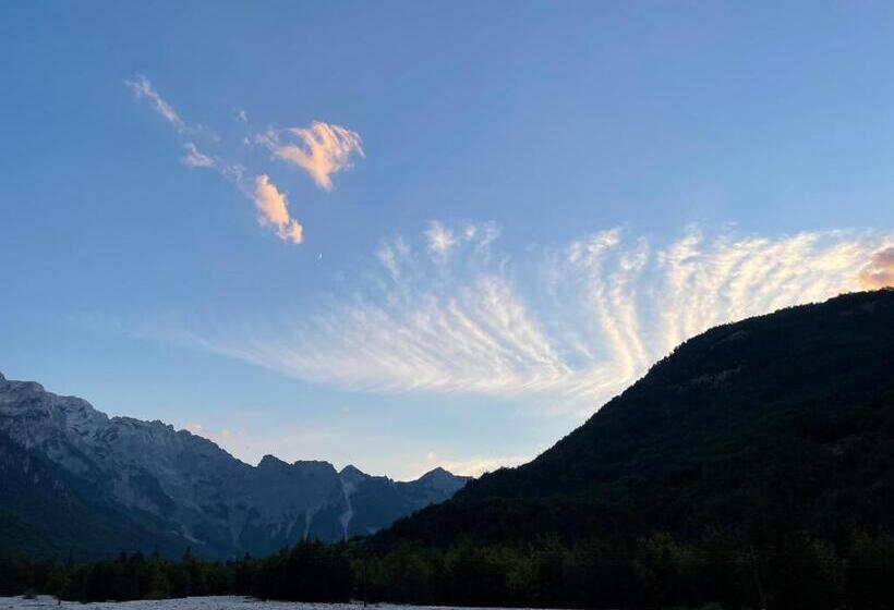 호텔 Bujtina Aroma E Malit