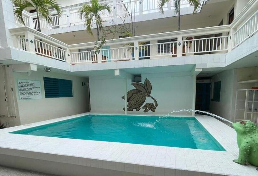 Отель Cacao Spa Cozumel