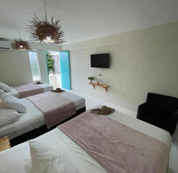 Отель Cacao Spa Cozumel