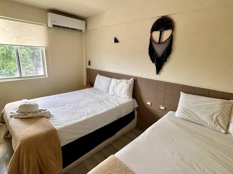 Отель Cacao Spa Cozumel