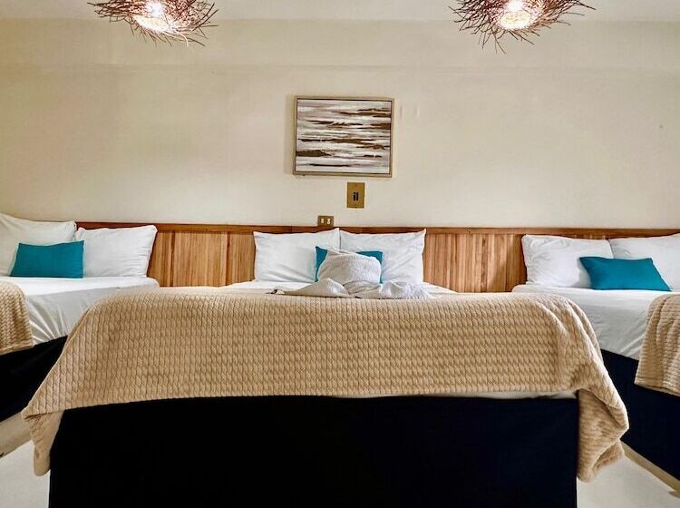 Отель Cacao Spa Cozumel