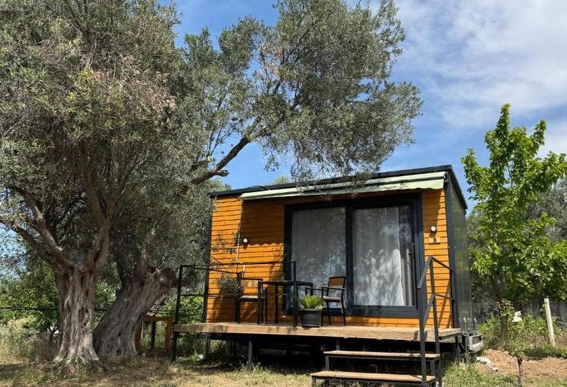 فندق Cnr Kitehouse