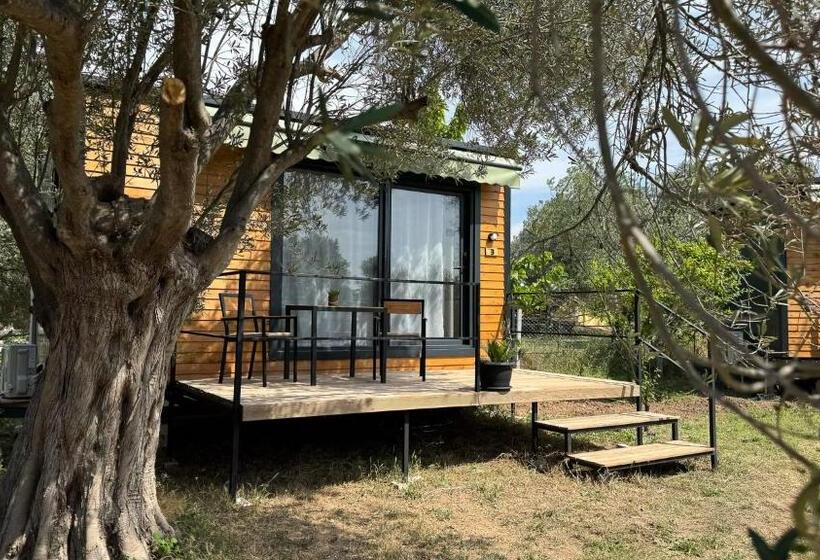 فندق Cnr Kitehouse