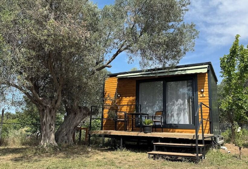 فندق Cnr Kitehouse