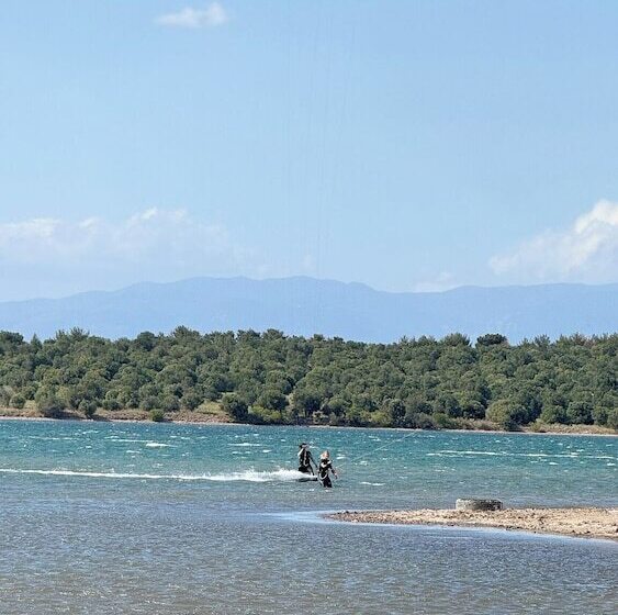 فندق Cnr Kitehouse