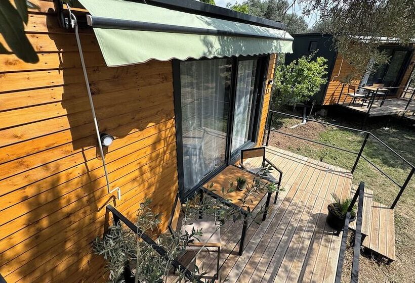 فندق Cnr Kitehouse