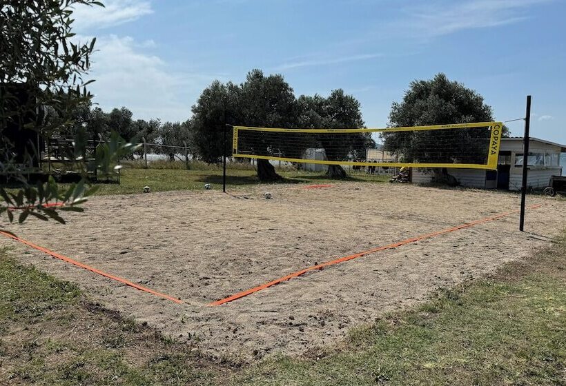 فندق Cnr Kitehouse