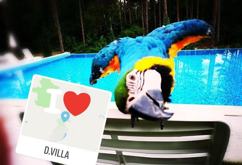 Отель D Villa