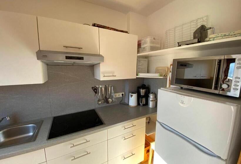 בית מלון כפרי Familienunterkunft Im Ski  Und Wandergebiet