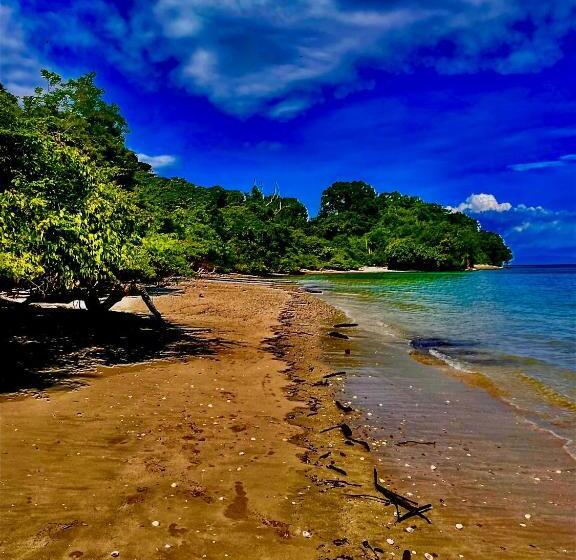 فندق La Perla Negra Pirate Tours