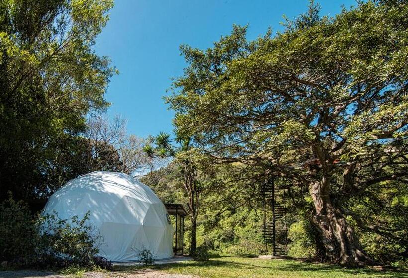 호텔 Nangú Glamping Experience