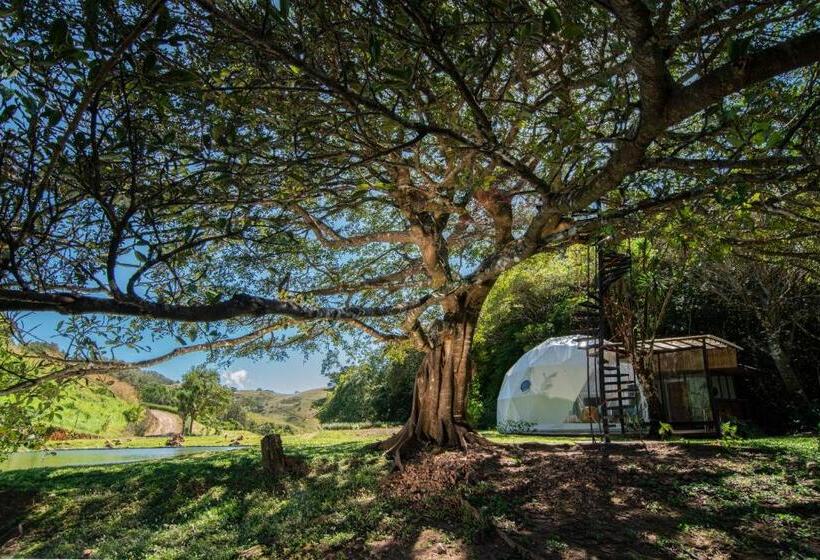 호텔 Nangú Glamping Experience