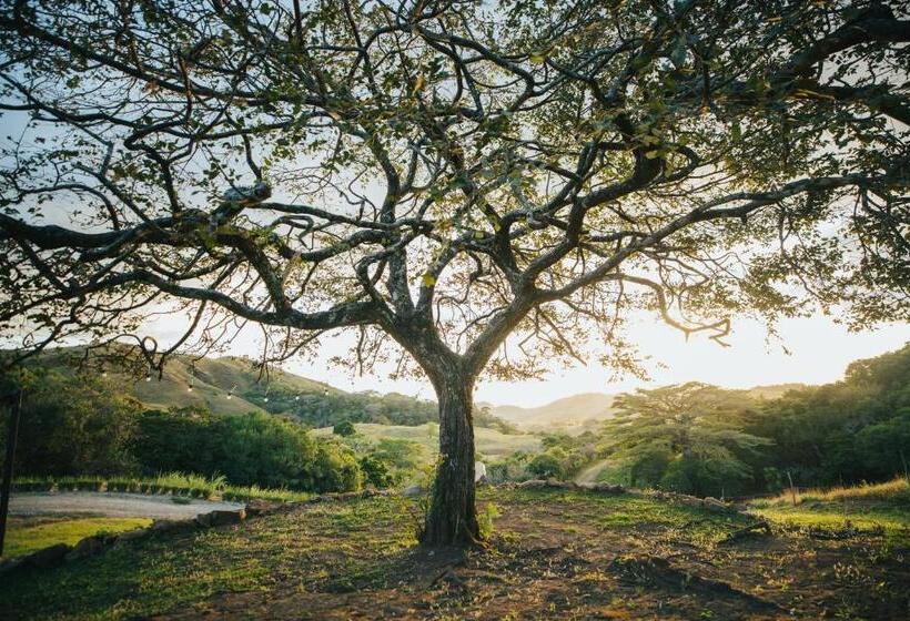 호텔 Nangú Glamping Experience