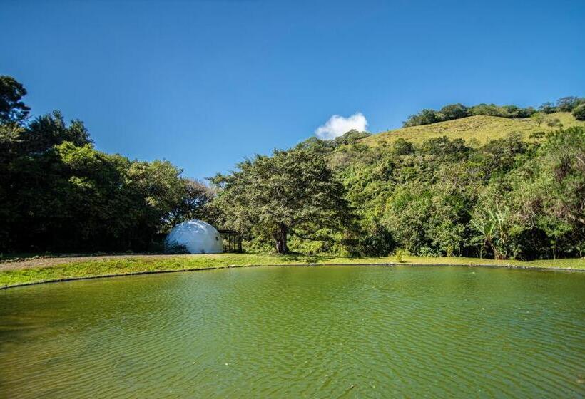 호텔 Nangú Glamping Experience