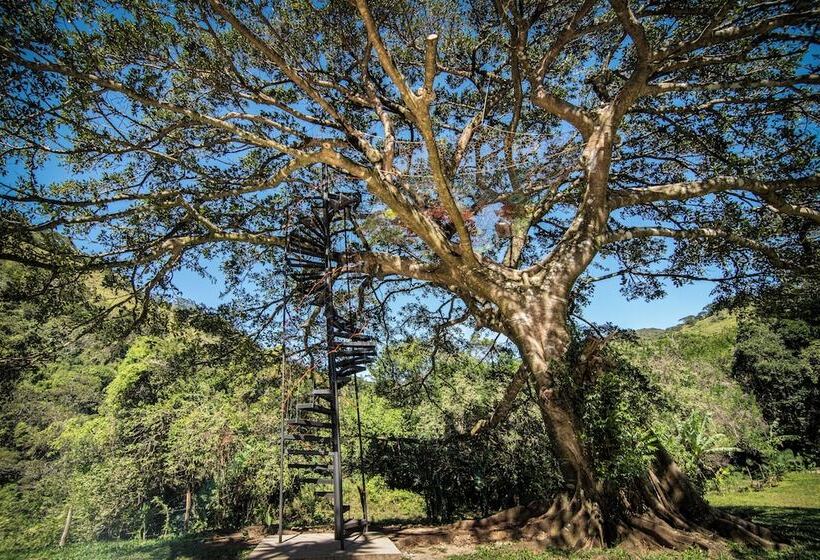 호텔 Nangú Glamping Experience