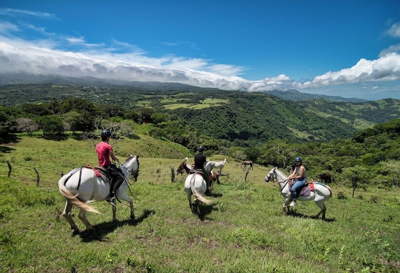 호텔 Nangú Glamping Experience