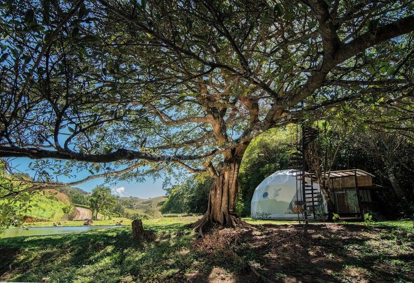 호텔 Nangú Glamping Experience