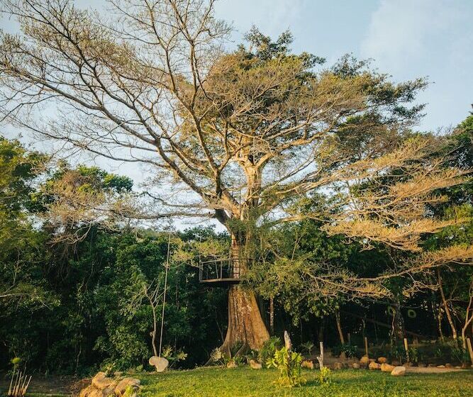 호텔 Nangú Glamping Experience