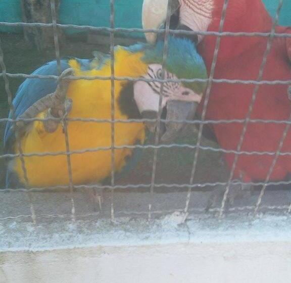 فندق Recanto Bem Querer