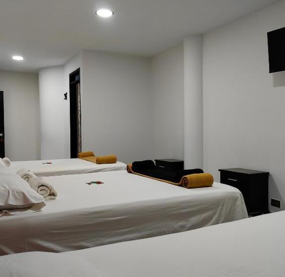 Отель Safaris Versalles