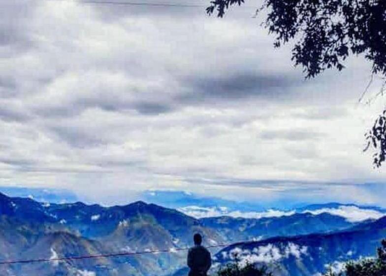 호텔 The Green Acres