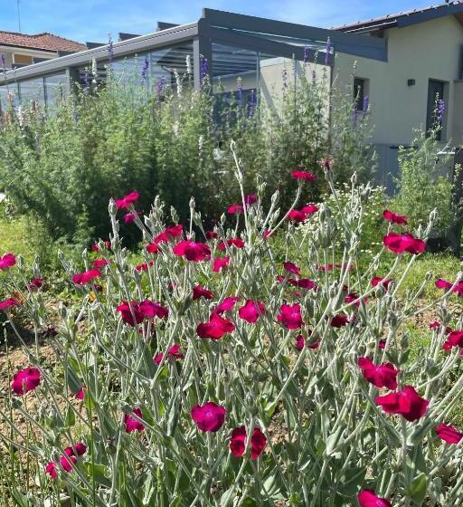 Il Giardino Di Sofia B&b