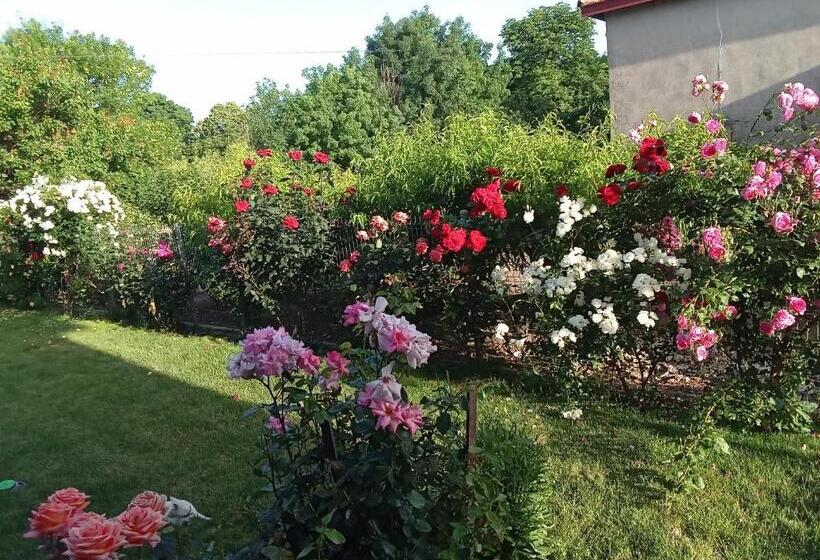 膳宿费 поповата къща