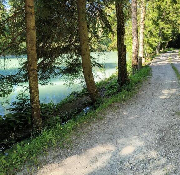 ペンション ô Bercail