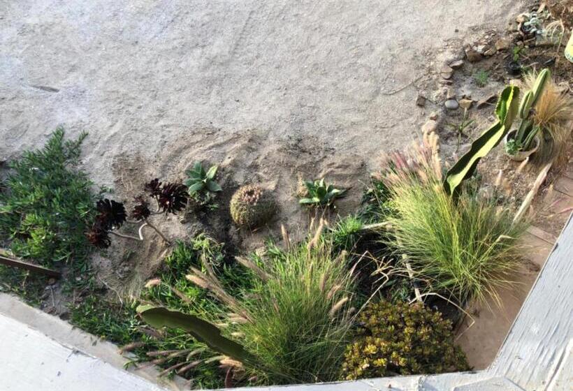 بنسيون Chagual Los Vilos Lodging