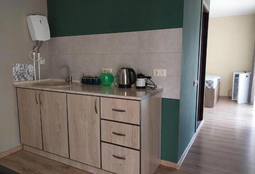 بنسيون Chinchin First Disperssed Hotel In Ra