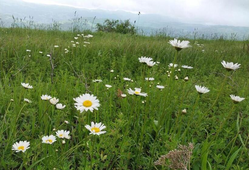 بنسيون Chinchin First Disperssed Hotel In Ra