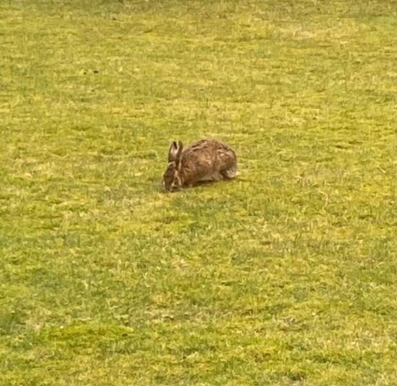 بنسيون Cleadail Guest House