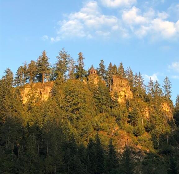 פנסיון Forest Apartment Forest Escape Menzenschwand
