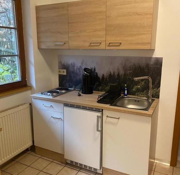 פנסיון Forest Apartment Forest Escape Menzenschwand