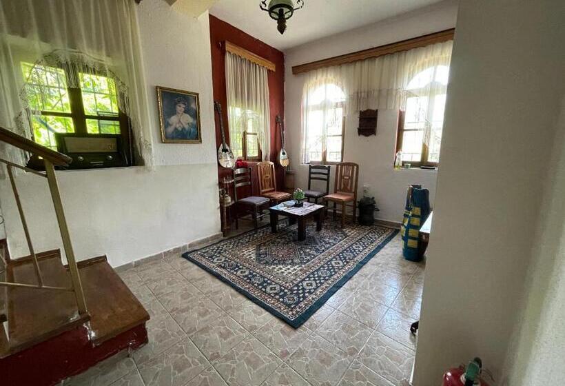 פנסיון Great Wall Guest House