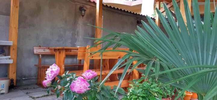 פנסיון Heidi S   Summer Villa Primorsko