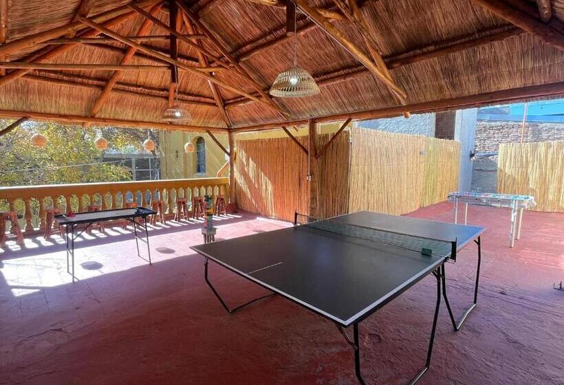 پانسیون Hostel Dale